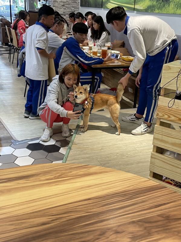 森林小徑健行店對寵物超友善